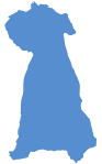 アクセスマップ