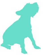 スケジュール