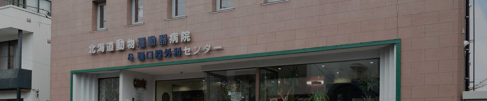 当院の強み・症例