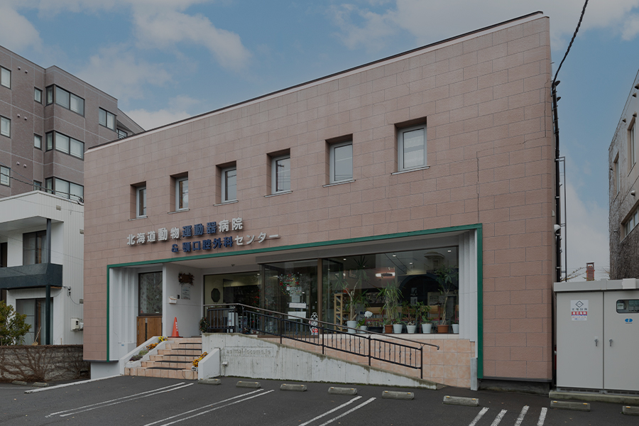 当院の強み・症例