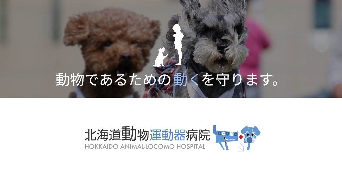 アクセス 北海道動物運動器病院 札幌市円山の動物病院